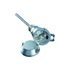 Langkamp Technology - WV 2xPt100 inschroef Temperatuursonde sonde 2xpt100 6x 50mm g1/2