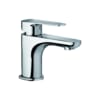 Miniatuur 1