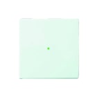ABB Busch-Jaeger - F@home Bed.element / centr.pl. schakelmat. Schak 6230-10-84