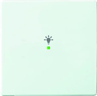 ABB Busch-Jaeger - F@home Bed.element / centr.pl. schakelmat. Licht 6231-10-84