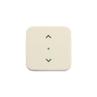 ABB Busch-Jaeger - F@home, KNX, SI Bed.element / centr.pl. schakelmat. Jaloe 6232-10-212