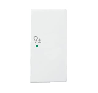 ABB Busch-Jaeger - F@home Bed.element / centr.pl. schakelmat. 2V Dmr 6234-22-84