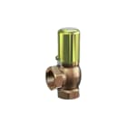 Goetze - Veerbelaste overdrukklep ubel vlg 628sgfo dn40 8b. nbr
