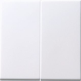 Gira - Systeem 55 Bed.element / centr.pl. schakelmat. Serwppn Drkvlksch 55 Wtmt