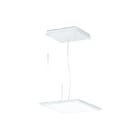 Performance in lighting - FL300LED Pendelarmatuur Pendelarm Fl300Pl Led 3000