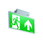 Van Lien - Evago DOP Noodverlichtingsarmatuur Eva-Dop-32
