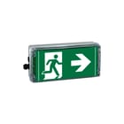 Cooper Crouse-Hinds - Ceag ATEX Explosieveilig noodverl./sign.arm. Ceag Explvnood 12193000021