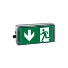 Cooper Crouse-Hinds - Ceag ATEX Explosieveilig noodverl./sign.arm. Ceag Explvnood 12193000023