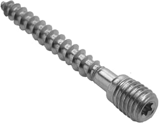 Rheinzink - Draadstift voor beugels Schroefstift M10X70 Rvs