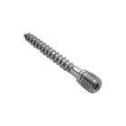 Rheinzink - Draadstift voor beugels Schroefstift M10X70 Rvs