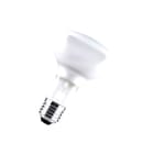 Bailey - Gloeilamp met reflector r95 e27 75w 240v