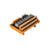 Miniatuur 1