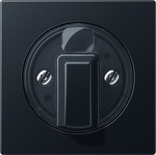 Jung - Bed.element / centr.pl. schakelmat. Afd Slgvst Drschk