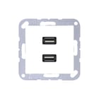 Jung - Multifunctionele verbindingsdoos Afd A500 Ant 2Xusb