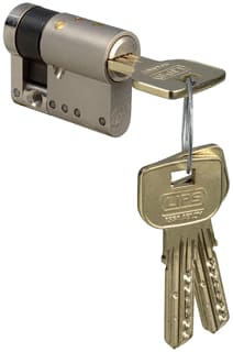 Lips - Vanguard Cilinder voor slot 10026433