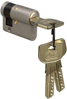 Lips - Vanguard Cilinder voor slot 10020141