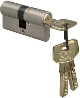 Lips - Vanguard Cilinder voor slot 10020151