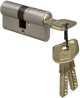 Lips - Vanguard Cilinder voor slot 10020152