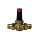 Raminex - Reduceerventiel drv serie 6243 dn50 2