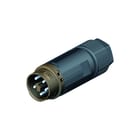 Wieland - Conn. v insteekbare gebouwinstall. Conn Male Trekontl Br 7.1