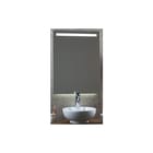 Swallow - Spiegel Led Balk+Ambi