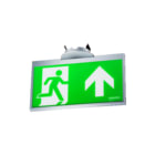 Famostar - Go! IPP Noodverlichtingsarmatuur Ipp-230 Silver
