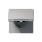 Jung - Wandcontactdoos (WCD schakelmat.) Wcd Ls990 Gr Bschcnt&Klpd