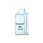 ABB Busch-Jaeger - AP Combinatie schakelaar/wcd comb 2601/5/2300 apjw
