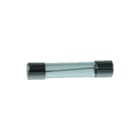 Siba - Cilindrische zekering G0,25A F 250V H 5X20