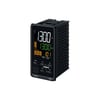Miniatuur 1