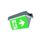 Eaton Blessing - Atlantic LED Industrie Noodverlichtingsarmatuur D-At Cgline+