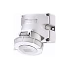 Mennekes - CEE-wandcontactdoos Wcd Cee 3P 16A Schd Ip67
