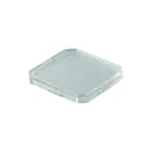 Schlegel - Lens drukknop/signaallamp  tokjfkl