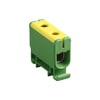 Miniatuur 1