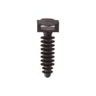 CELO - Plug 200948 ds100