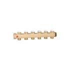 Caleffi - Verdeler voor hydronische circuits verdlhydr 662155