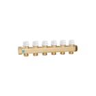 Caleffi - Verdeler voor hydronische circuits verdlhydr 662065