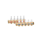 Caleffi - Verdeler voor hydronische circuits verdlhydr 668755s1