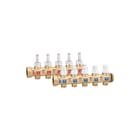 Caleffi - Verdeler voor hydronische circuits verdlhydr 668735s1