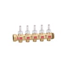 Caleffi - Verdeler voor hydronische circuits verdlhydr 667745s1