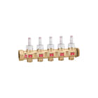 Caleffi - Verdeler voor hydronische circuits verdlhydr 667735s1