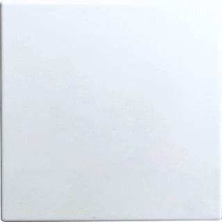ABB Busch-Jaeger - Balance, Infoline Bed.element / centr.pl. schakelmat. 1582-0-0401