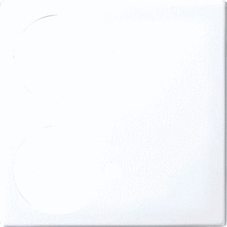 ABB Busch-Jaeger - Balance Centraalplaat zusteroproepsysteem Centr Plaat 1710-0-4073