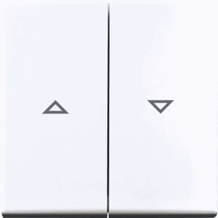ABB Busch-Jaeger - Balance Bed.element / centr.pl. schakelmat. Wip 2X Jal 2504-914