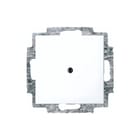 ABB Busch-Jaeger - Balance Bed.element / centr.pl. schakelmat. Cpl Blnd 2538-914