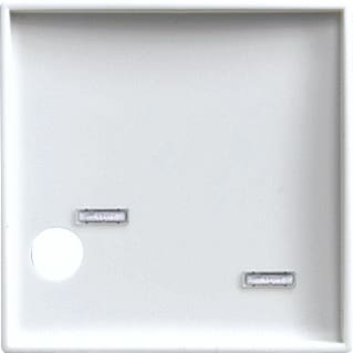 ABB Busch-Jaeger - Balance Centraalplaat zusteroproepsysteem centr plaat 1724-0-4351