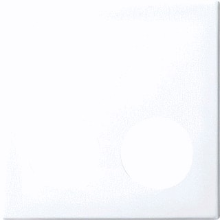 ABB Busch-Jaeger - Balance Centraalplaat zusteroproepsysteem Centr Plaat 1724-0-4352