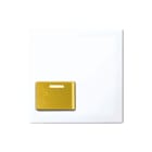 ABB Busch-Jaeger - Balance Centraalplaat zusteroproepsysteem Centr Plaat 1724-0-4357
