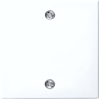 ABB Busch-Jaeger - Balance Bed.element / centr.pl. schakelmat. Cpl Trek 1796-914