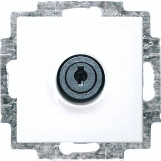 ABB Busch-Jaeger - Balance Wandcontactdoos (WCD schakelmat.) Wcd Ra Sl 20Eukbsl-914 Bsi